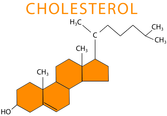 Cholesterol molecule